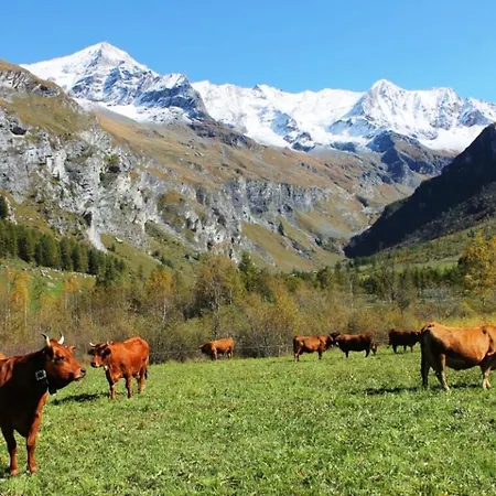La Vigogne 2*