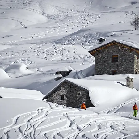 La Vigogne